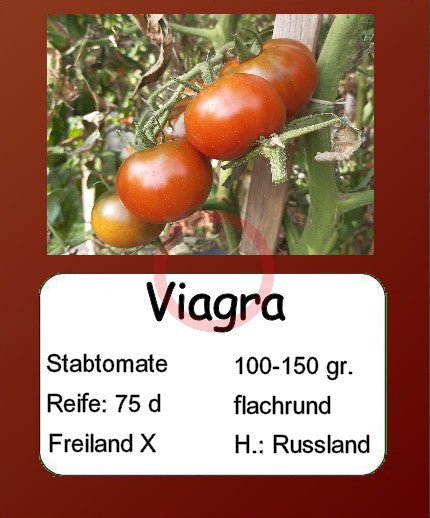 Viagra DER TOMATENFLÜSTERER