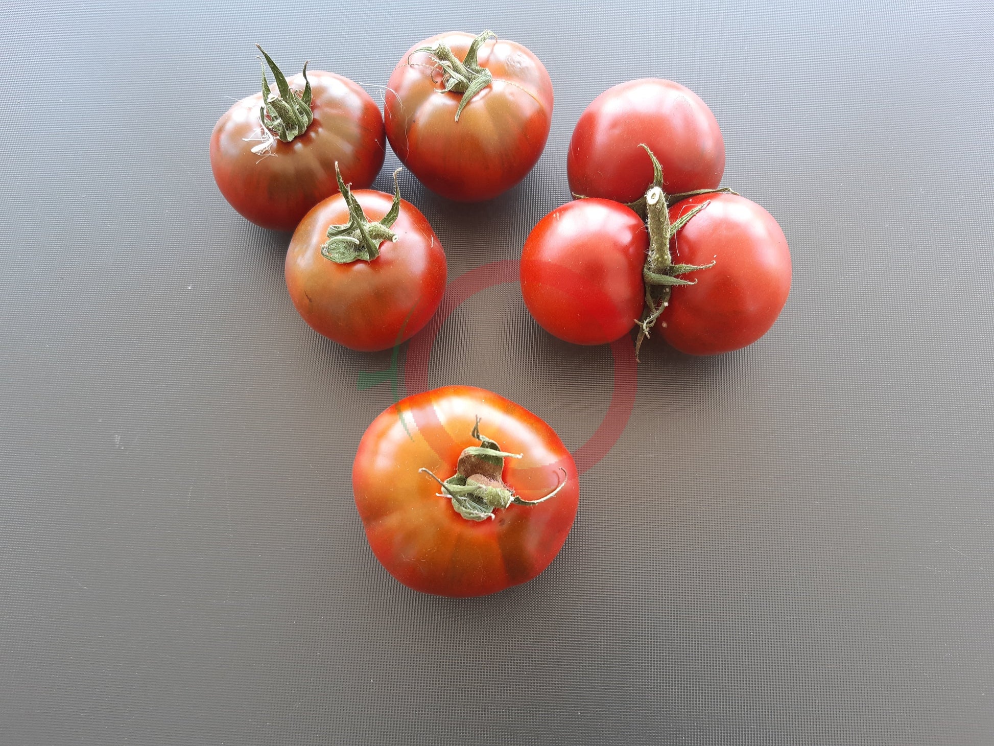 Viagra DER TOMATENFLÜSTERER