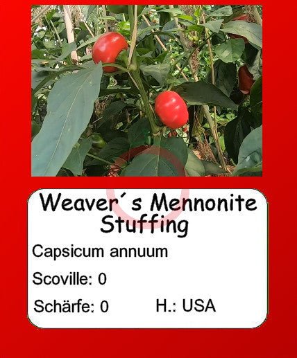 Weaver´s Mennonite Stuffing DER TOMATENFLÜSTERER