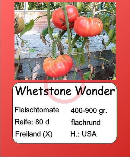 Whetstone Wonder DER TOMATENFLÜSTERER