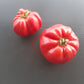 WildThyme Pink DER TOMATENFLÜSTERER