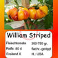William Striped DER TOMATENFLÜSTERER
