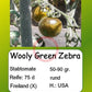 Woolly Green Zebra DER TOMATENFLÜSTERER