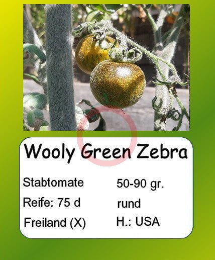 Woolly Green Zebra DER TOMATENFLÜSTERER