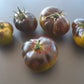 Xanadu Green Goddees DER TOMATENFLÜSTERER