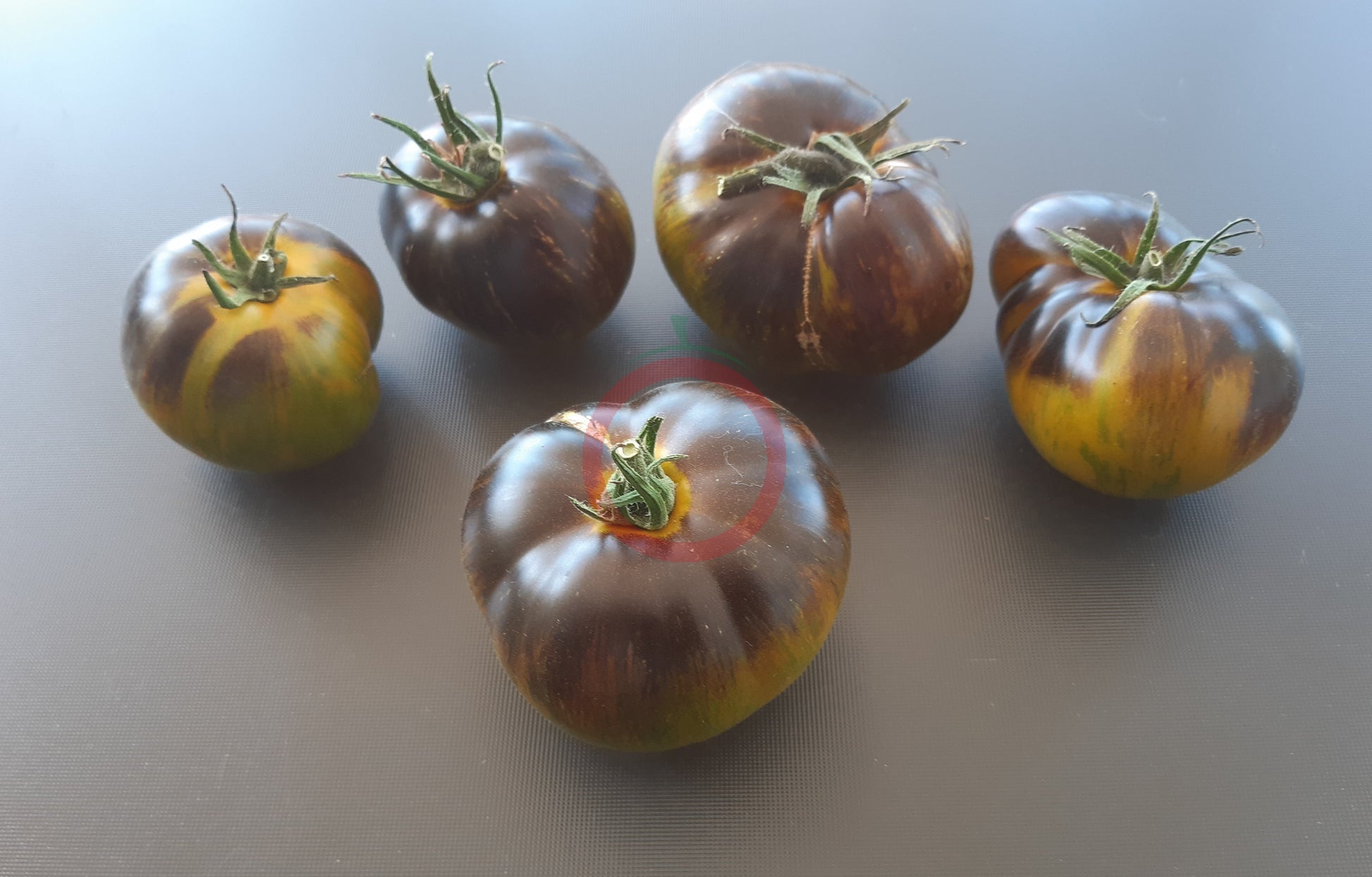 Xanadu Green Goddees DER TOMATENFLÜSTERER