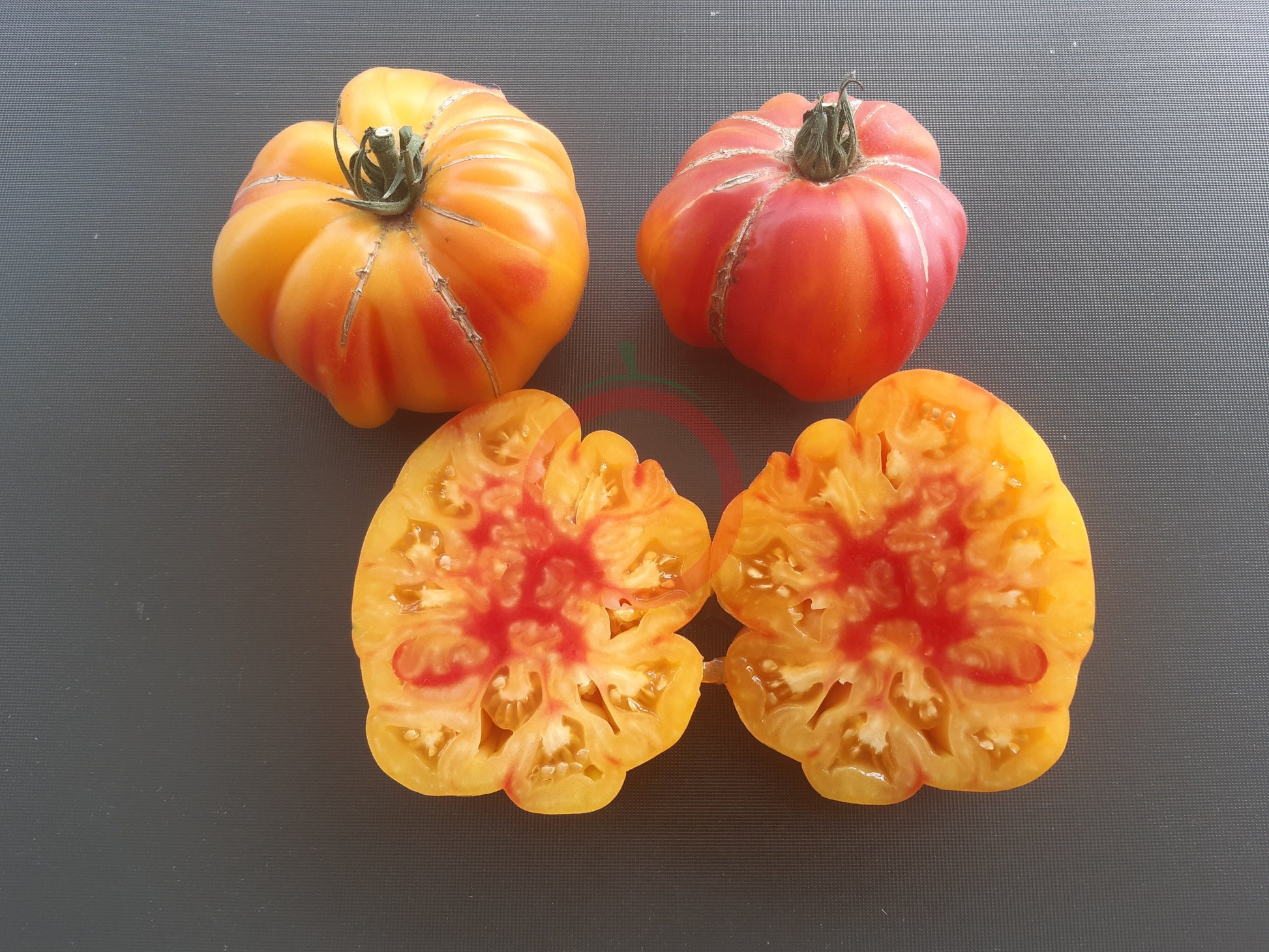 Zapotec Ananas Ribbed DER TOMATENFLÜSTERER