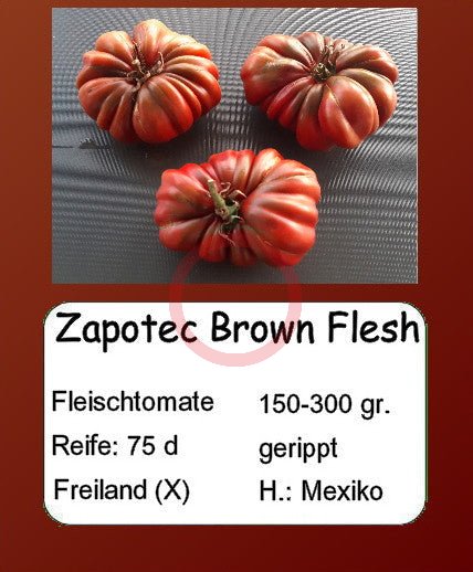Zapotec Brown Flesh DER TOMATENFLÜSTERER