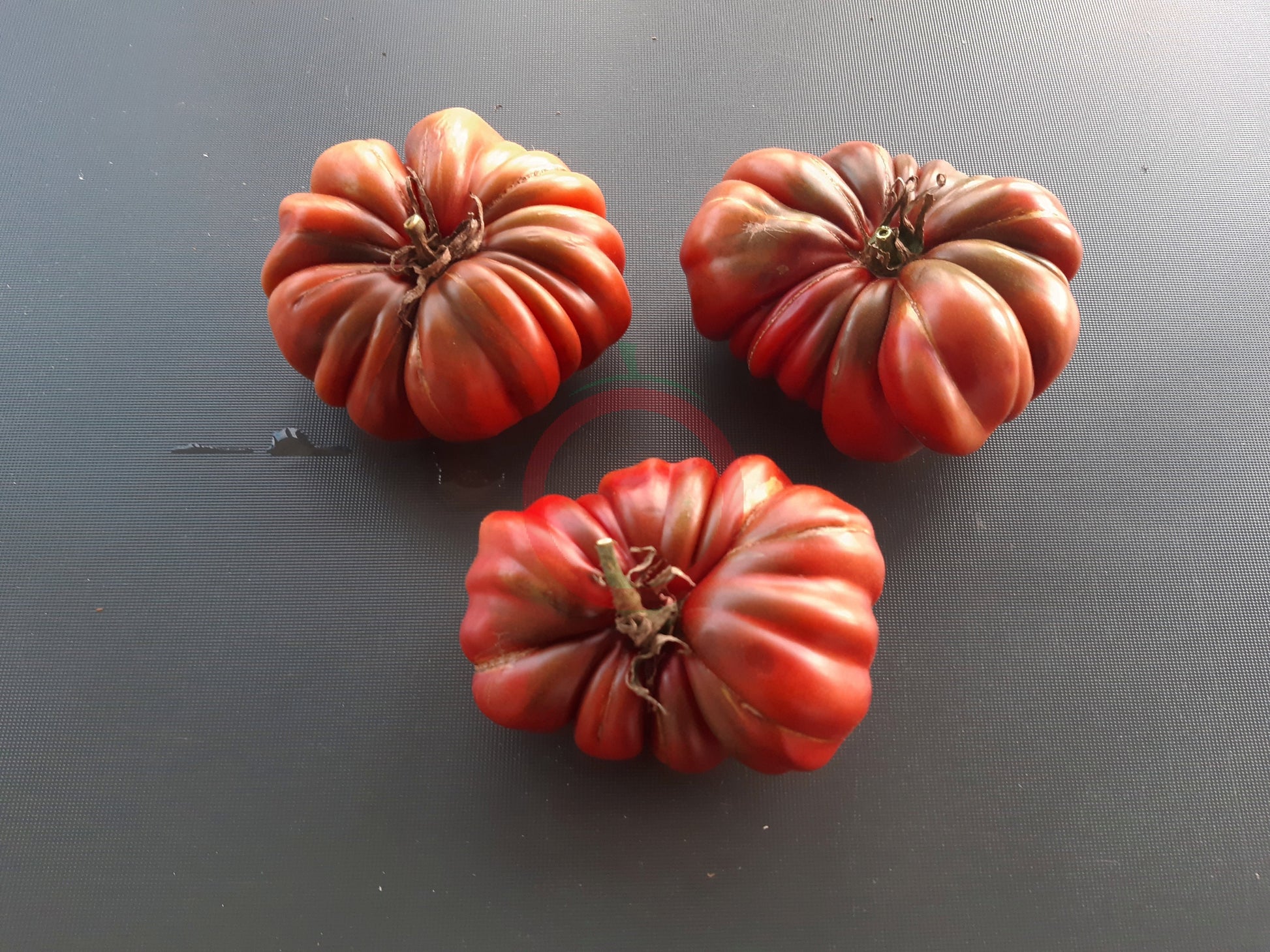 Zapotec Brown Flesh DER TOMATENFLÜSTERER