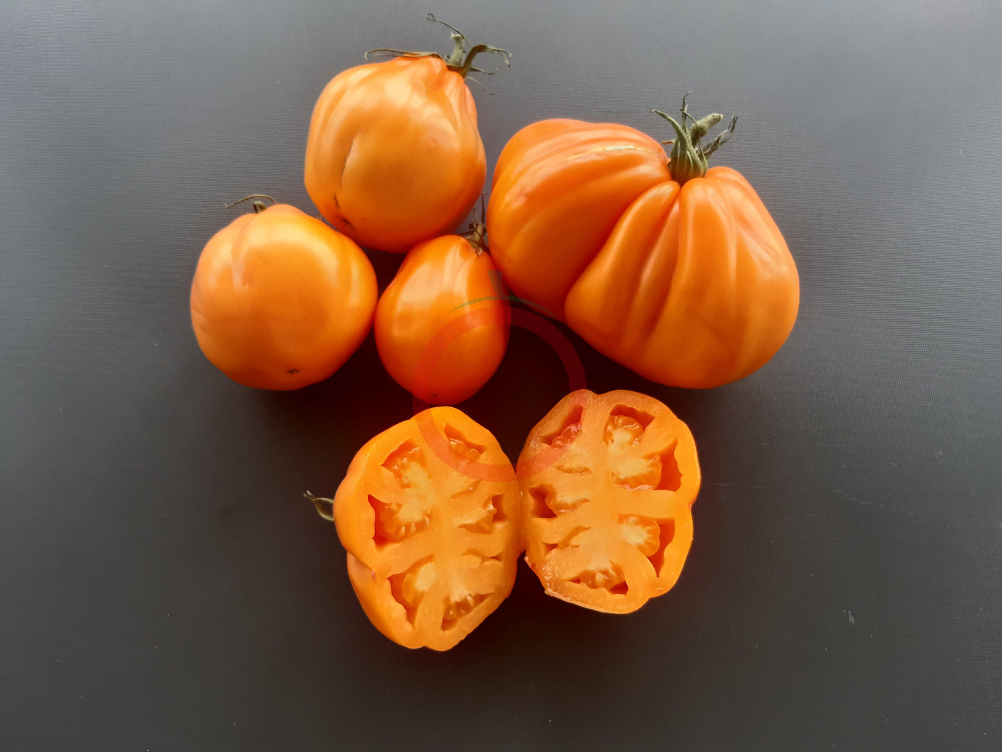 Zheltye Torbochki DER TOMATENFLÜSTERER