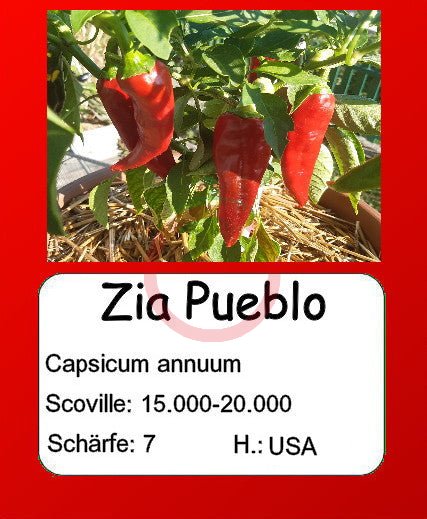 Zia Pueblo DER TOMATENFLÜSTERER