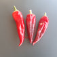 Zia Pueblo DER TOMATENFLÜSTERER