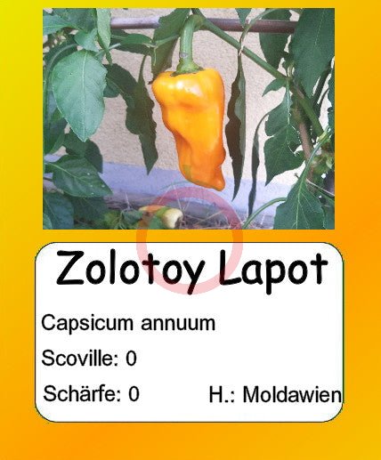 Zolotoy Lapot DER TOMATENFLÜSTERER
